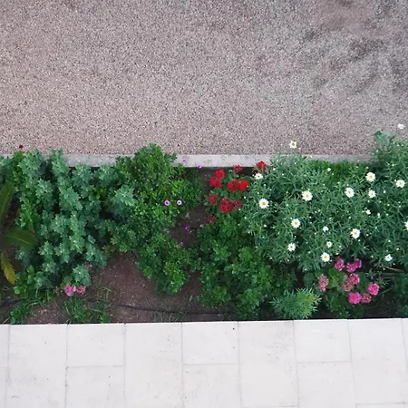 Moll Villa Cala Morell